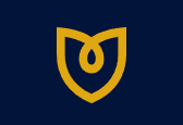 Rothy's Logo